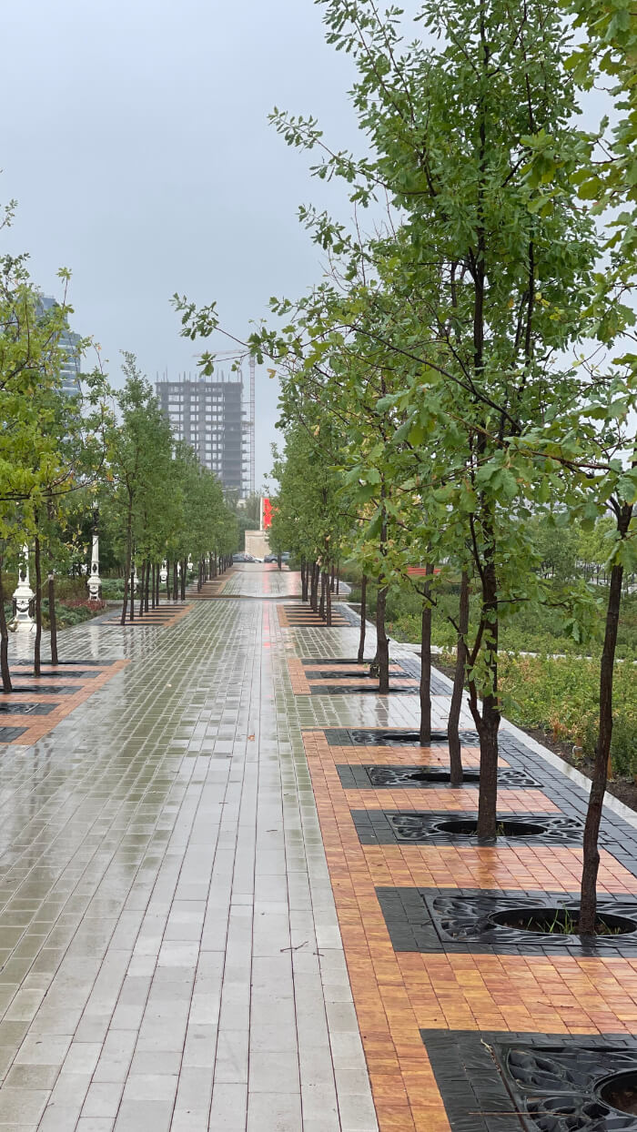 Приствольная решетка для дерева ZKING CRUST 1.2х1.2м Черная в Всеволожске фото