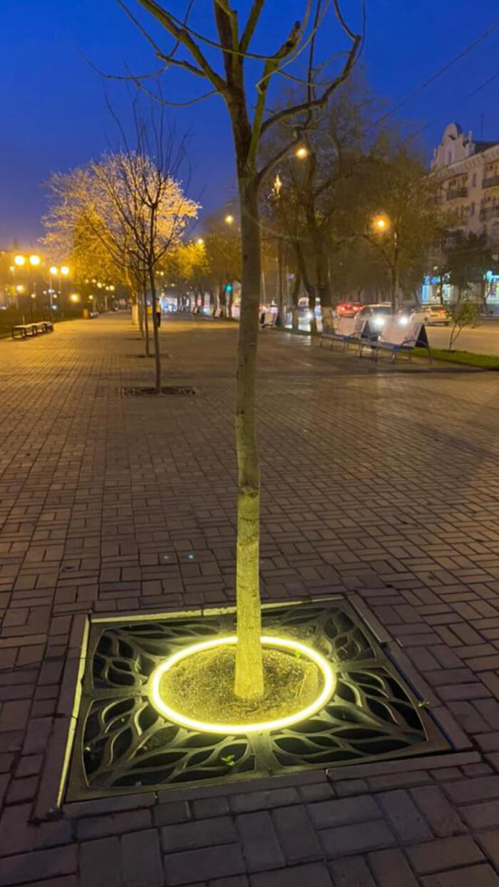 Приствольная решетка для дерева ZKING CRUST 1.2х1.2м Черная в Всеволожске фото